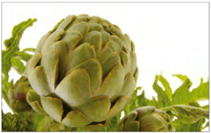 alcachofa